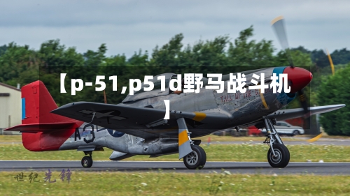 【p-51,p51d野马战斗机】-第2张图片