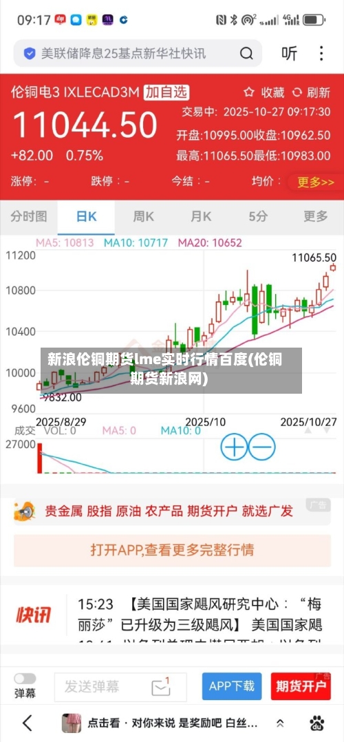 新浪伦铜期货lme实时行情百度(伦铜期货新浪网)-第3张图片