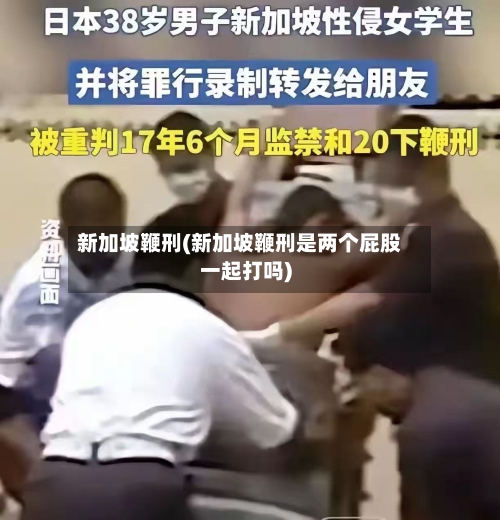 新加坡鞭刑(新加坡鞭刑是两个屁股一起打吗)