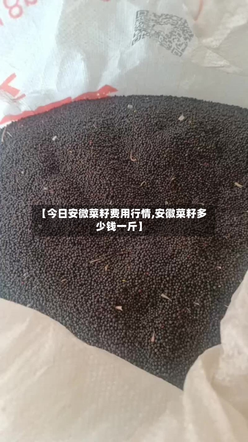 【今日安微菜籽费用行情,安徽菜籽多少钱一斤】-第3张图片