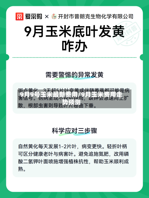 9月9号玉米最新费用/9月玉米费用走势预测