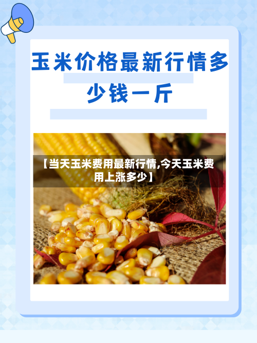 【当天玉米费用最新行情,今天玉米费用上涨多少】