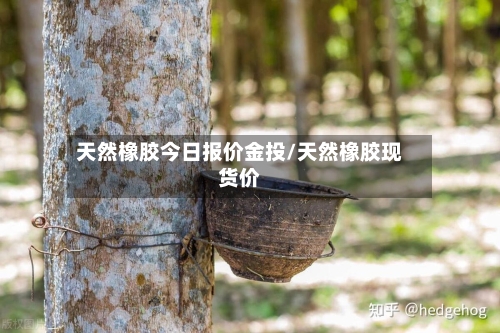 天然橡胶今日报价金投/天然橡胶现货价-第2张图片