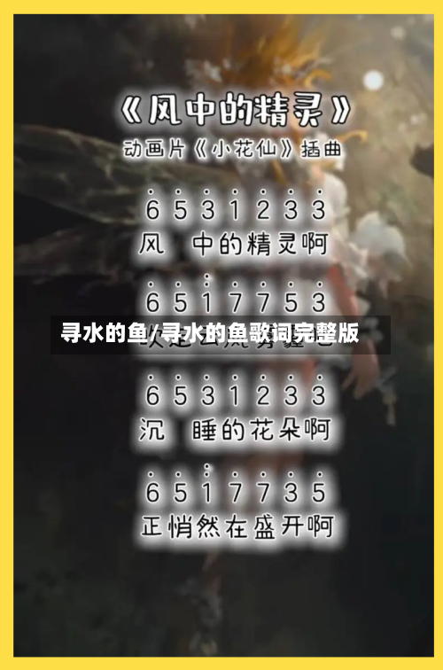 寻水的鱼/寻水的鱼歌词完整版
