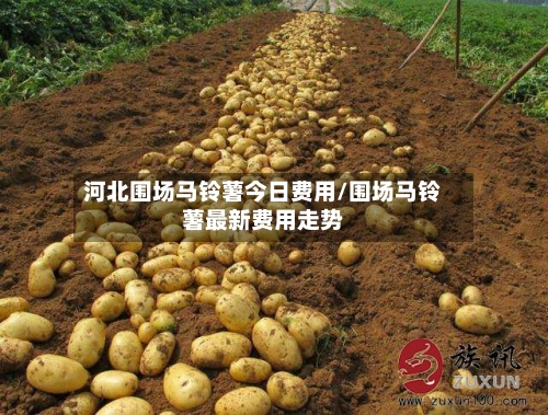 河北围场马铃薯今日费用/围场马铃薯最新费用走势-第3张图片
