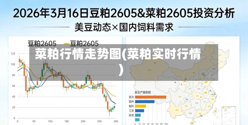 菜粕行情走势图(菜粕实时行情)