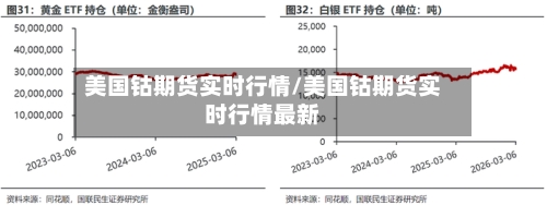 美国钴期货实时行情/美国钴期货实时行情最新