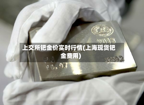 上交所钯金价实时行情(上海现货钯金费用)-第2张图片