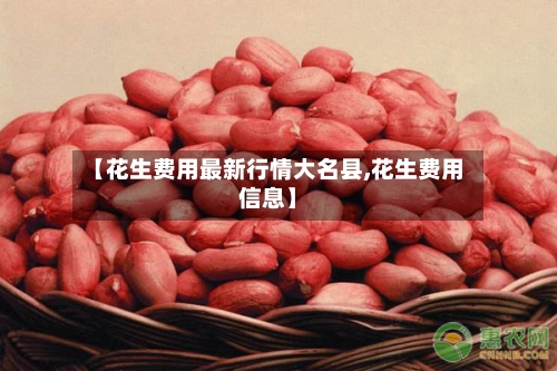 【花生费用最新行情大名县,花生费用信息】-第2张图片