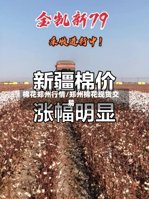 棉花郑州行情/郑州棉花现货交易-第2张图片