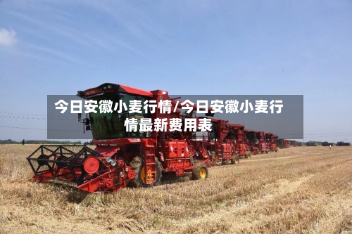 今日安徽小麦行情/今日安徽小麦行情最新费用表-第2张图片