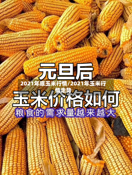 2021年底玉米行情/2021年玉米行情走势-第3张图片