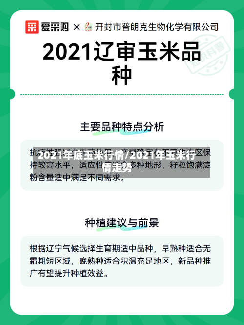 2021年底玉米行情/2021年玉米行情走势