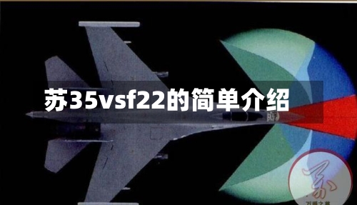 苏35vsf22的简单介绍-第3张图片