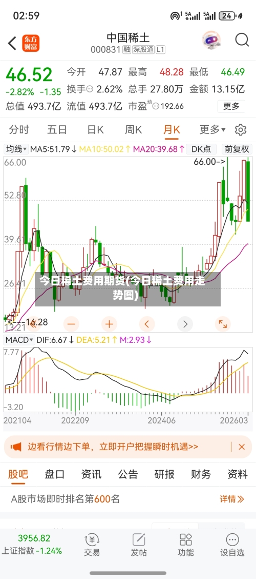 今日稀土费用期货(今日稀土费用走势图)