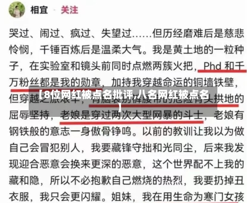 【8位网红被点名批评,八名网红被点名】
