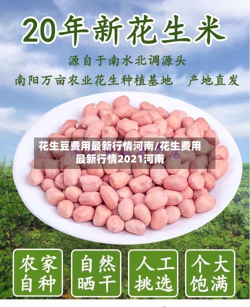 花生豆费用最新行情河南/花生费用最新行情2021河南