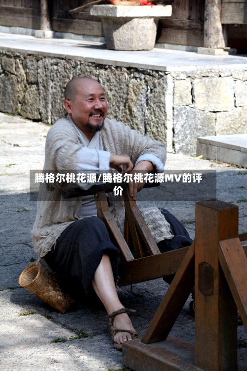 腾格尔桃花源/腾格尔桃花源MV的评价