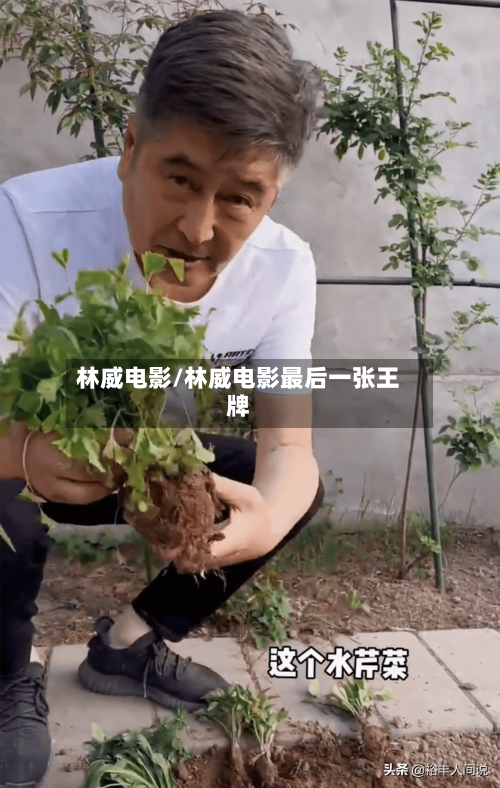 林威电影/林威电影最后一张王牌