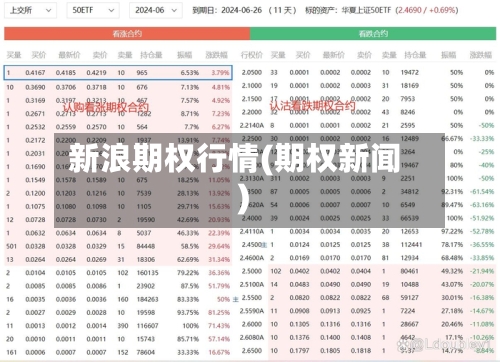 新浪期权行情(期权新闻)-第2张图片