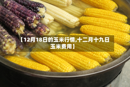 【12月18日的玉米行情,十二月十九日玉米费用】