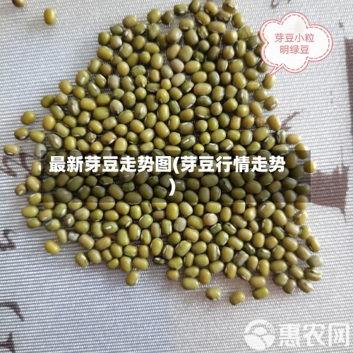 最新芽豆走势图(芽豆行情走势)
