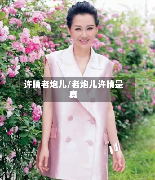 许晴老炮儿/老炮儿许晴是真-第2张图片