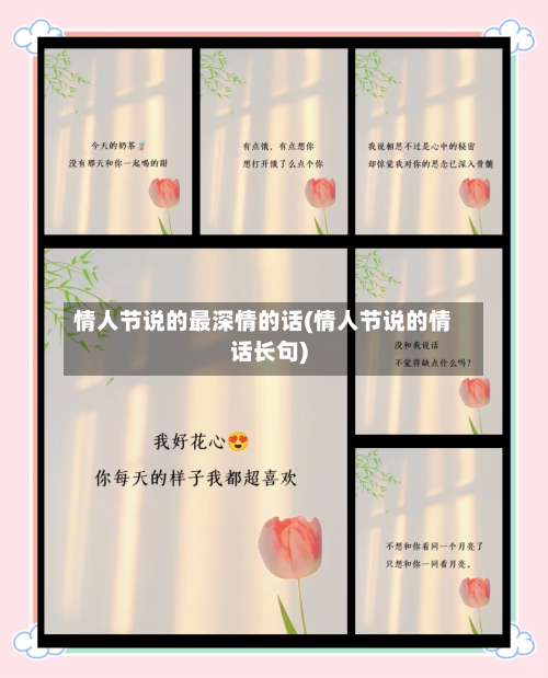 情人节说的最深情的话(情人节说的情话长句)
