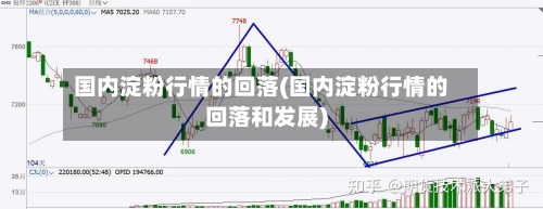 国内淀粉行情的回落(国内淀粉行情的回落和发展)
