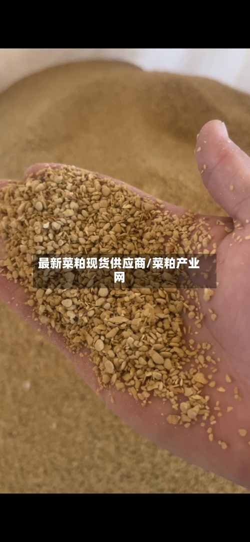 最新菜粕现货供应商/菜粕产业网