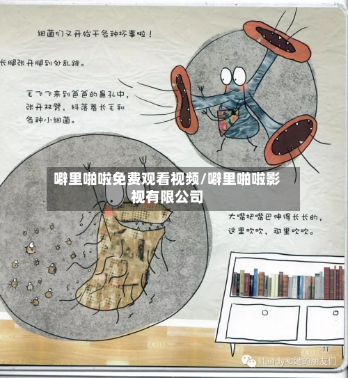 噼里啪啦免费观看视频/噼里啪啦影视有限公司-第3张图片