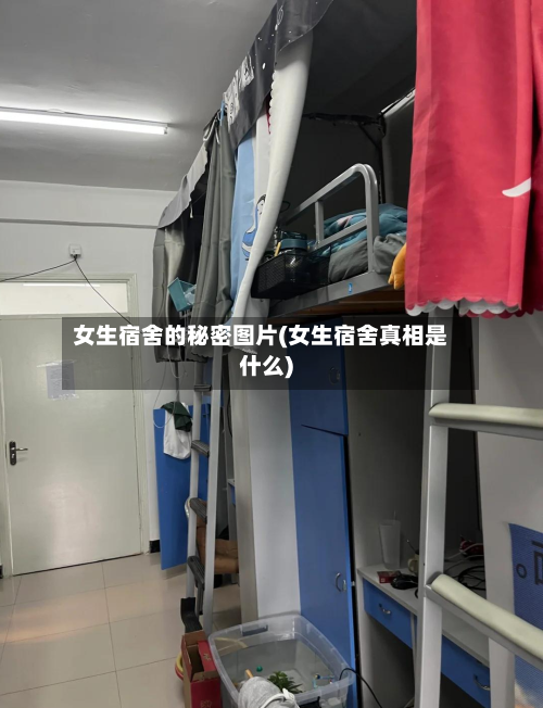 女生宿舍的秘密图片(女生宿舍真相是什么)-第3张图片