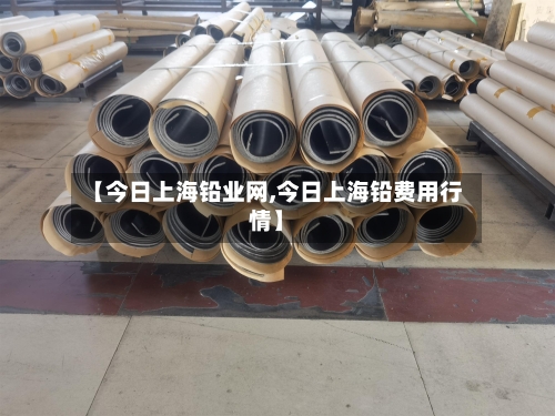 【今日上海铅业网,今日上海铅费用行情】-第3张图片