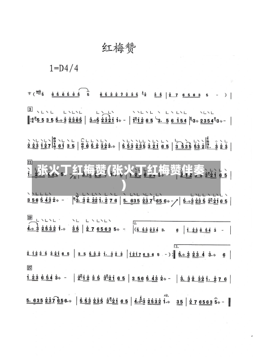 张火丁红梅赞(张火丁红梅赞伴奏)-第2张图片