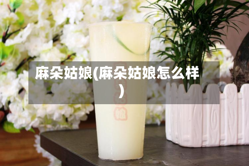 麻朵姑娘(麻朵姑娘怎么样)