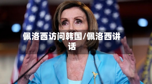 佩洛西访问韩国/佩洛西讲话