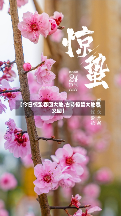【今日惊蛰春回大地,古诗惊蛰大地春又回】
