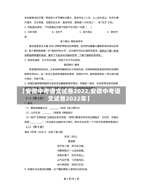 【安徽中考语文试卷2022,安徽中考语文试卷2022年】-第2张图片
