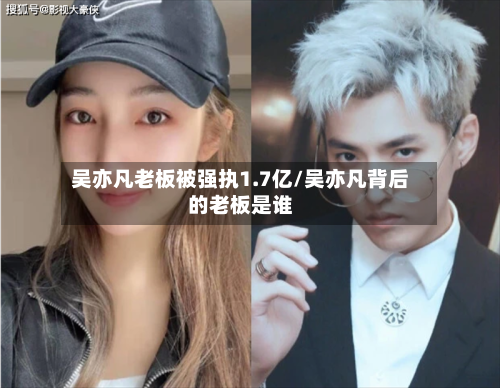 吴亦凡老板被强执1.7亿/吴亦凡背后的老板是谁