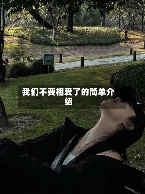我们不要相爱了的简单介绍