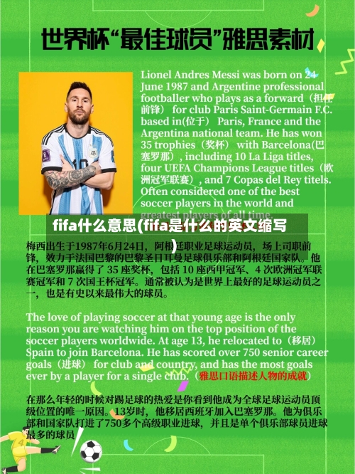 fifa什么意思(fifa是什么的英文缩写)