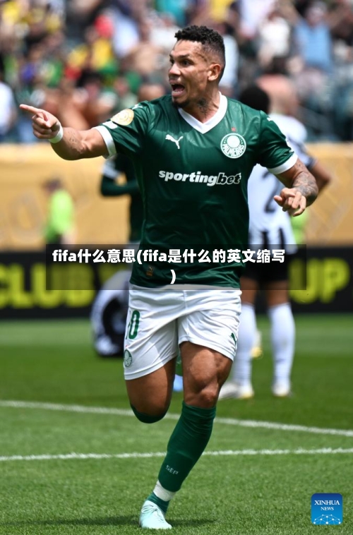 fifa什么意思(fifa是什么的英文缩写)-第2张图片