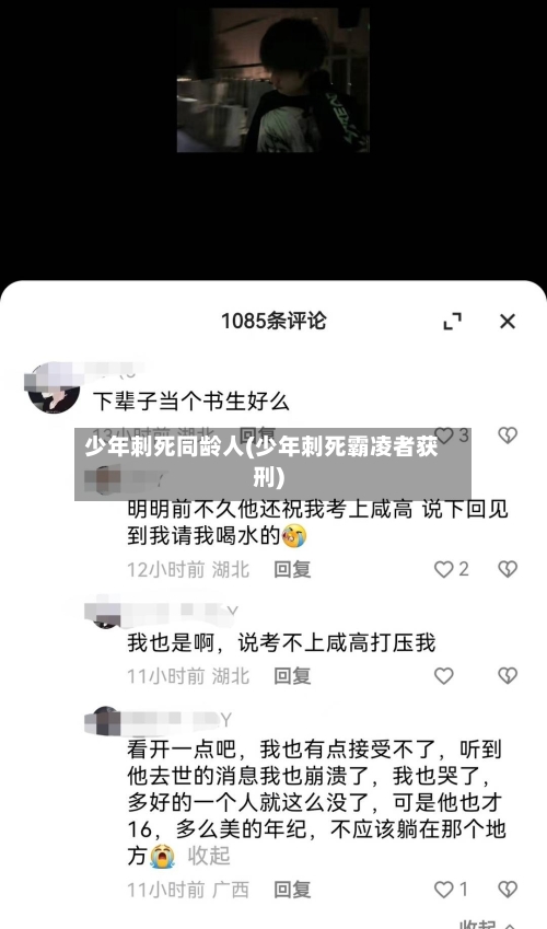 少年刺死同龄人(少年刺死霸凌者获刑)