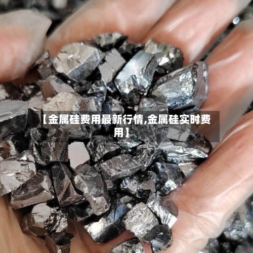 【金属硅费用最新行情,金属硅实时费用】-第2张图片