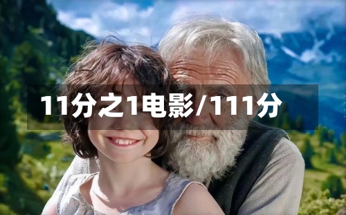11分之1电影/111分-第3张图片