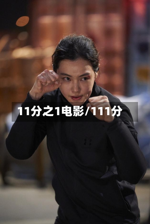 11分之1电影/111分-第2张图片