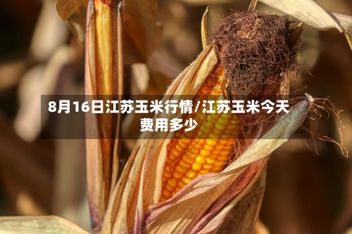 8月16日江苏玉米行情/江苏玉米今天费用多少