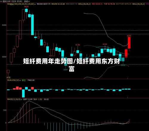 短纤费用年走势图/短纤费用东方财富