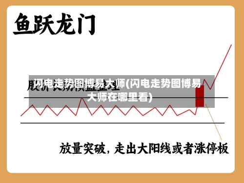 闪电走势图博易大师(闪电走势图博易大师在哪里看)