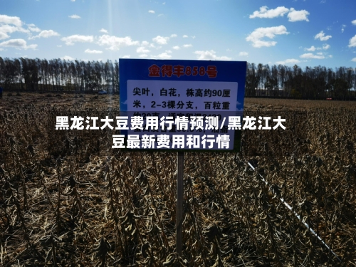 黑龙江大豆费用行情预测/黑龙江大豆最新费用和行情-第2张图片